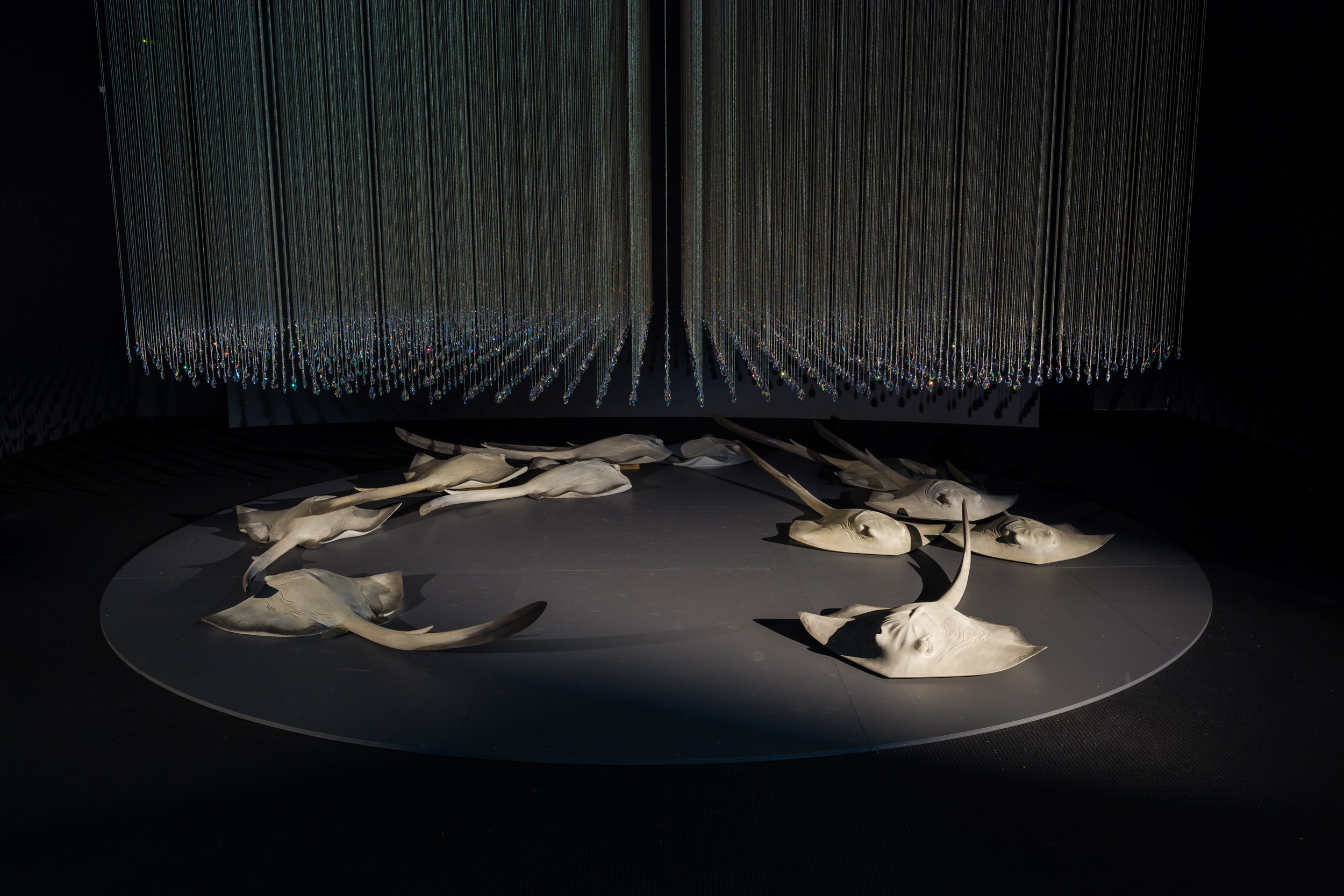 An artwork installation with crystals suspended from the ceiling and stingrays arranged in a circle on the floor